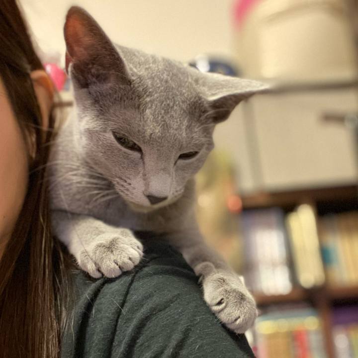 F17e00eb fbf3 4064 9086 f737d04f99a8 1604494326599