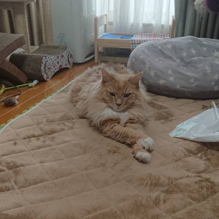 F17e0dfa ea11 4ab3 976d fc5d00d88e90 1548501166824