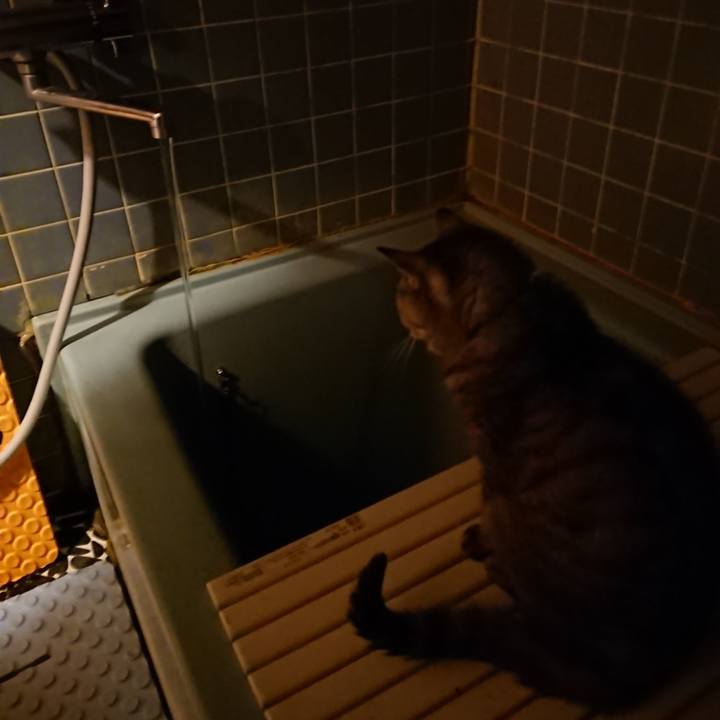 F17e1aab 322e 40ba bd11 d8329513ae0f 1571047772918