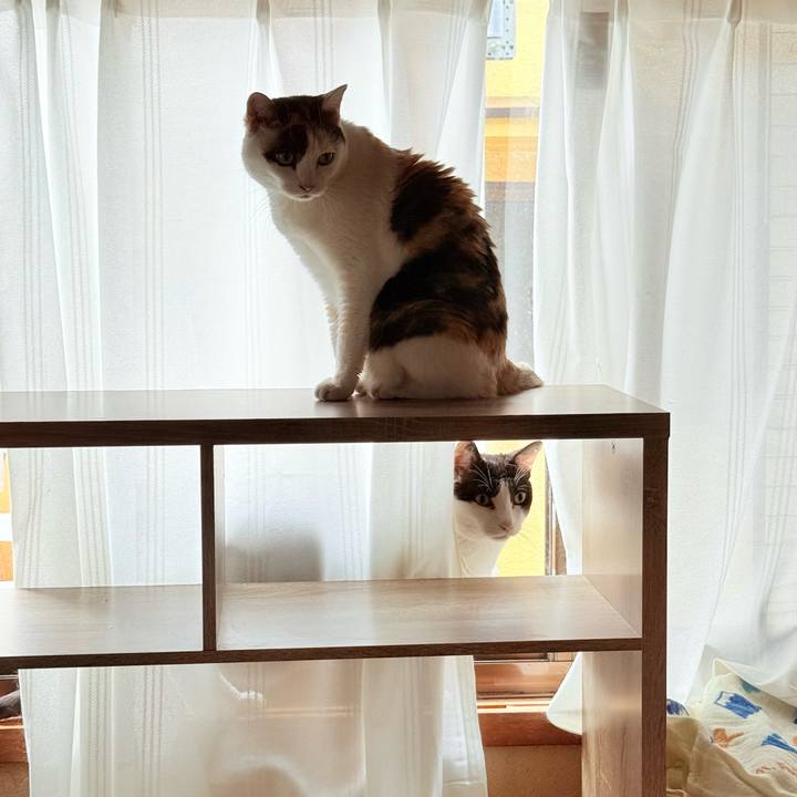 F17e3cfb 8447 4f01 83b5 4558d1b26eb5 1750989170259