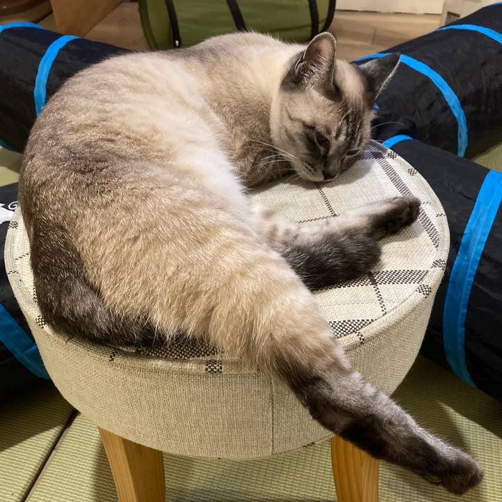 F17e44d6 38f9 48ac a39e e745b93bfd3c 1624576761835