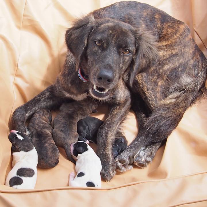 F17e4e1b 1fa3 4b29 a93c f5976bd10cc1 1638615366010