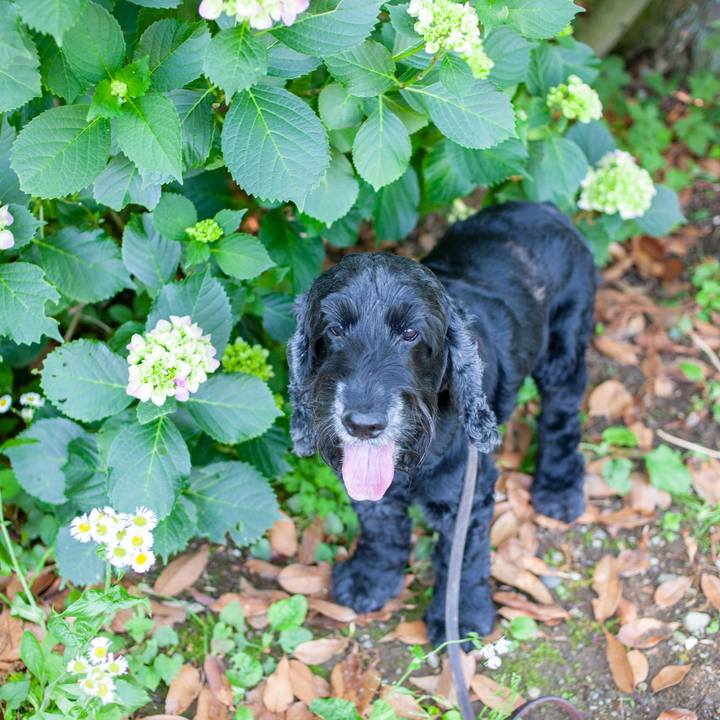 F17e79c4 88c0 4aef aee0 a94bb706a29f 1559404516807