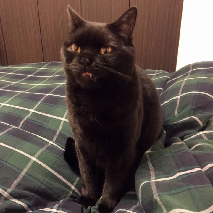 F17e9712 6675 4144 98af 90d5e9e15840 1552484494447