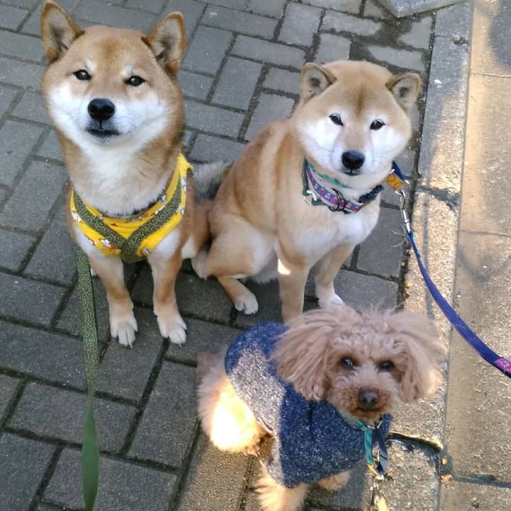 F17eaf09 c71a 42be b233 1ce450bbfba5 1518172737350