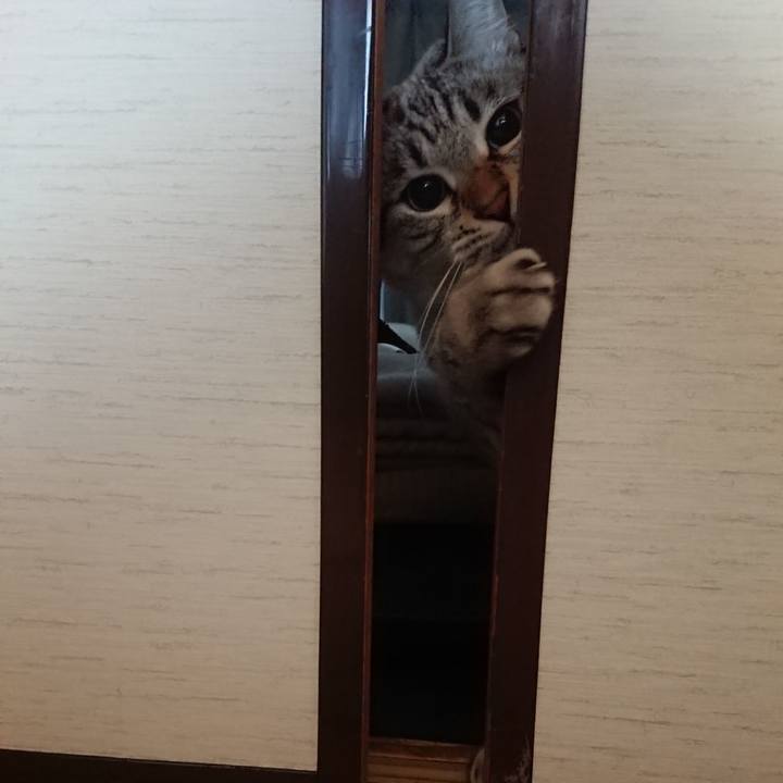 F17ec116 eecc 4084 8ecd b8935f51b03f 1547945272699