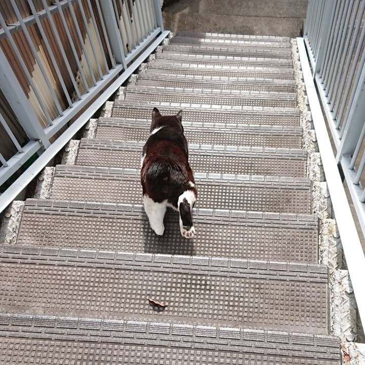 F17ee596 5d53 4cc4 a5b2 6ad4f9eac726 1620182118850