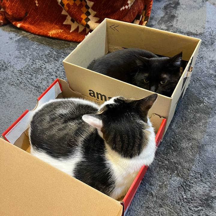 F17f1884 7296 46bf 935c 32e310541ba6 1648510838479