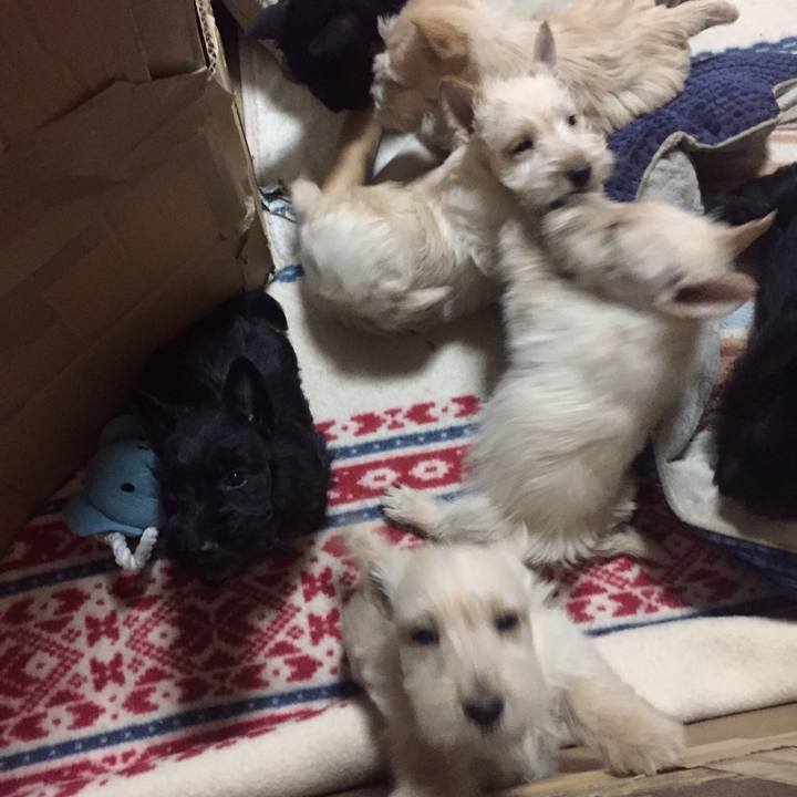 F17f4290 e1e7 4ad3 a24f 8201518077a3 1533310496500