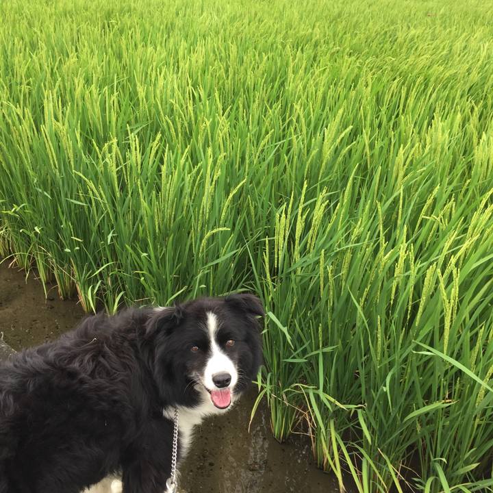 F17f4705 34d9 4828 9a35 076cd8071420 1567039154650