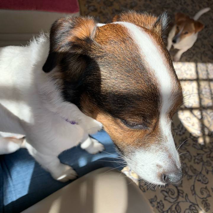 F17f5cf4 b801 4c10 9ddc d83b59d86a98 1583892131629