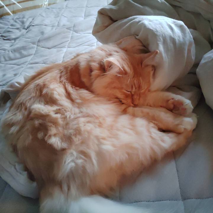 F17f6127 dcc2 4353 a277 52460eac45d6 1699224401175