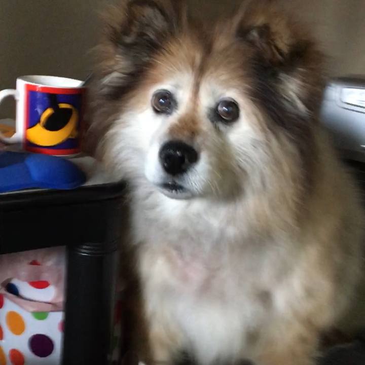 F17fa12e 1aa7 4633 ac82 fd4cb52917b1 1581339524037