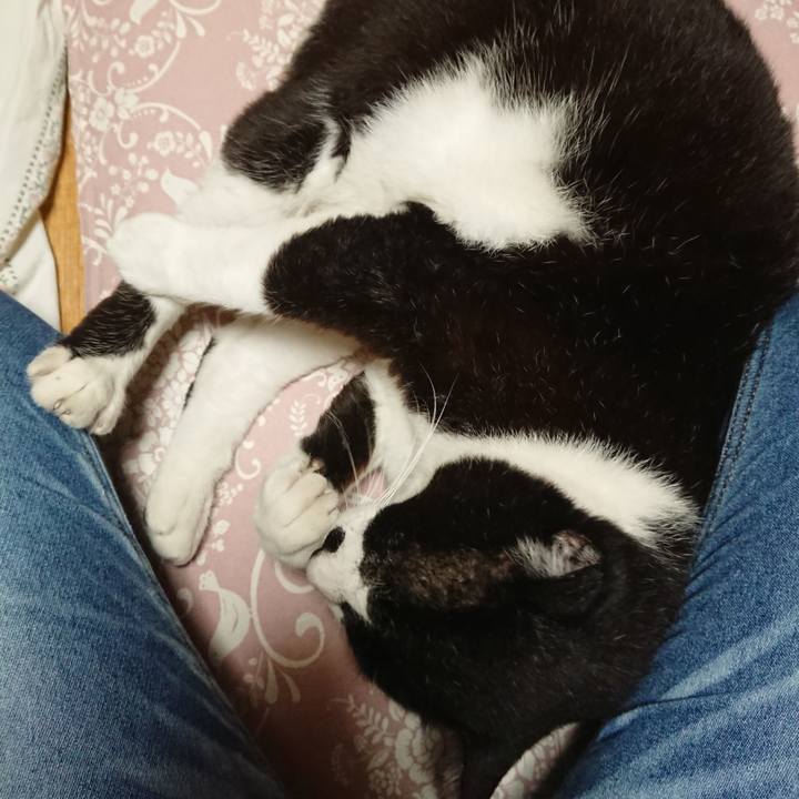 F17ff5e7 c2a4 4f41 953f e4149d68c49e 1634031766168