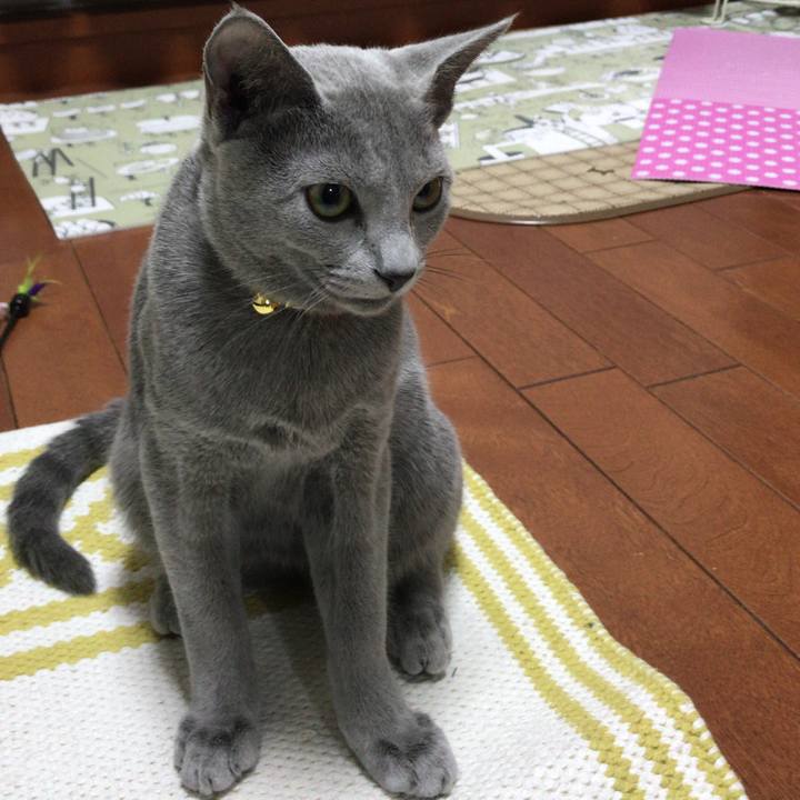 F1802dac 8e10 46ed 970f 3926cca6f297 1511007470419