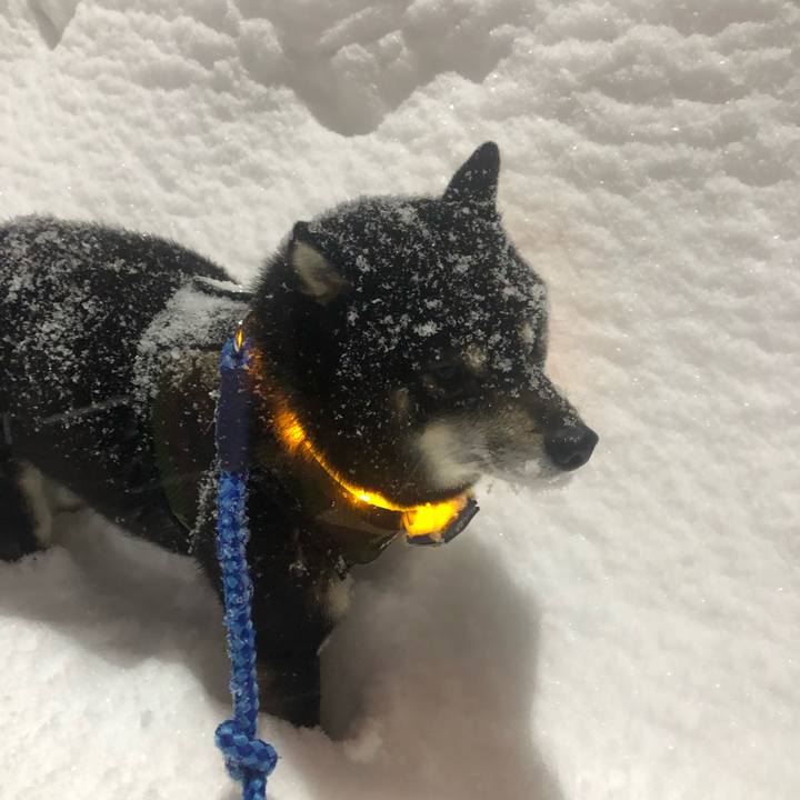 F1803785 982c 47b7 abd0 d3e1963cb1ce 1581937085301