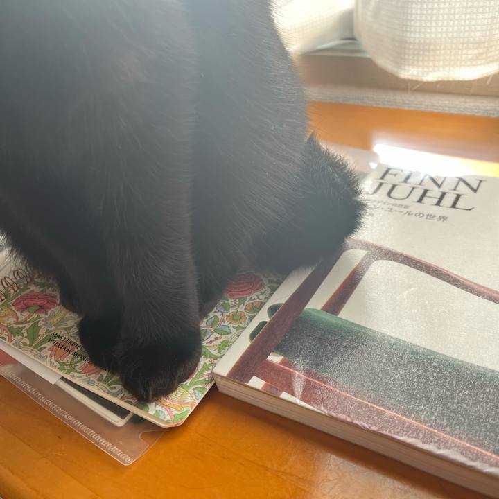 F18055ad 661e 4d9c b133 4710d43c2011 1683766071476