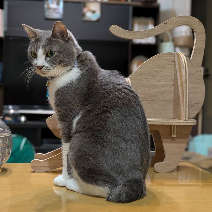 F180d824 9592 49f2 a5c3 62f0766fff12 1739272765239