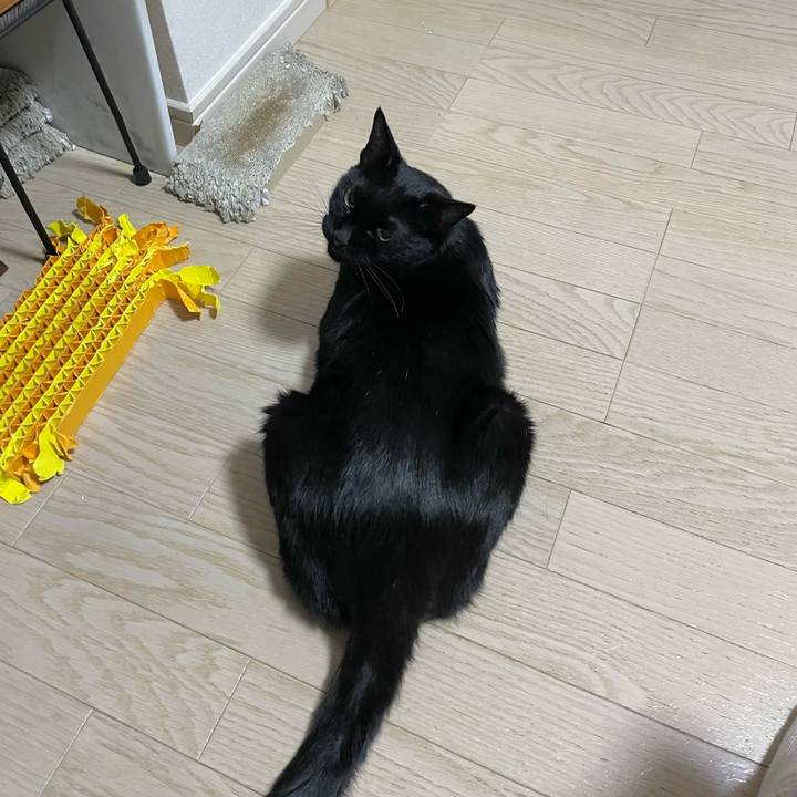 F180de57 ac26 4993 8d88 f3a2895eb7d2 1764594606299