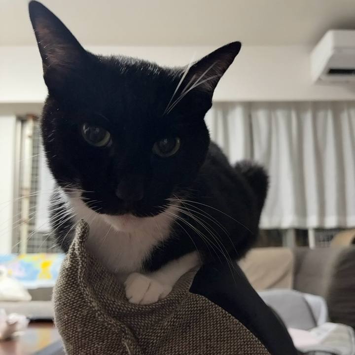 F180f210 3783 4001 8680 c40c6fcee4b1 1759580653199