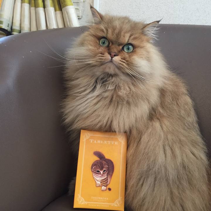 F181623e be07 47a1 9dee f13bbad0bd54 1552526596678