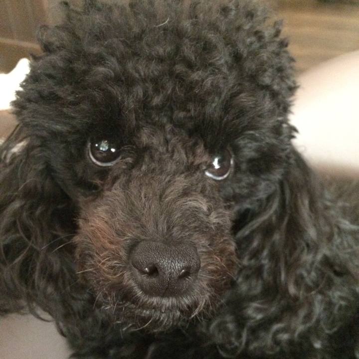 F18169d9 5297 4b36 867a 9da0b68eb1c7 1535610721183