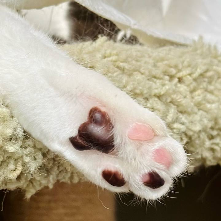 F181d216 0c64 4bab 88cb 07e80f9691e1 1722040094684