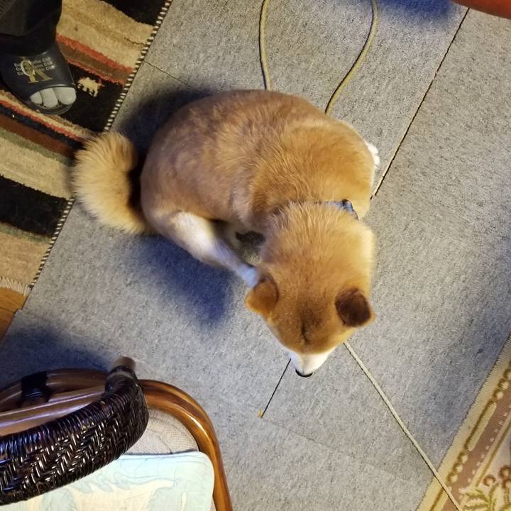 F181de38 8166 45b1 aa9d 4a2d81cc630e 1582673694423