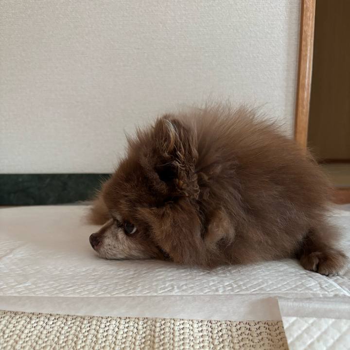 F181eb51 c1f2 4d06 abfd 8b23106c383a 1771367836370