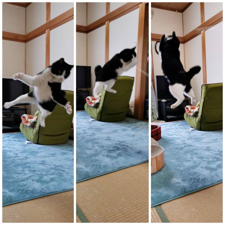 F18207fb 1ab2 49bd 807e 1fc936a07a99 1635391441591