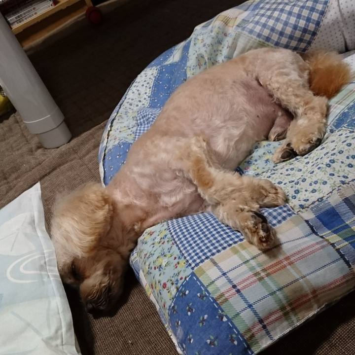 F1822b34 49af 42b1 9af9 a2c9864d0584 1595170324556