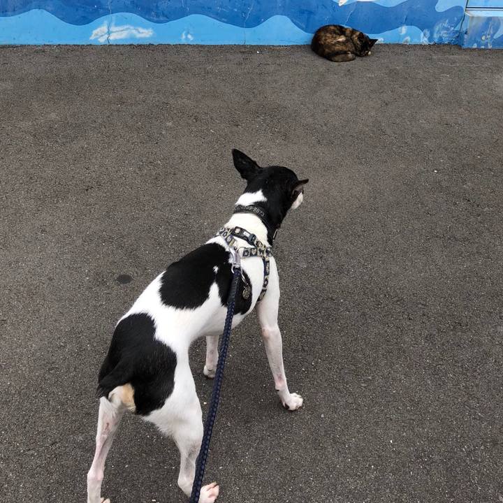 F18256e7 010c 4a8d a16c 051d4851282a 1539259745903