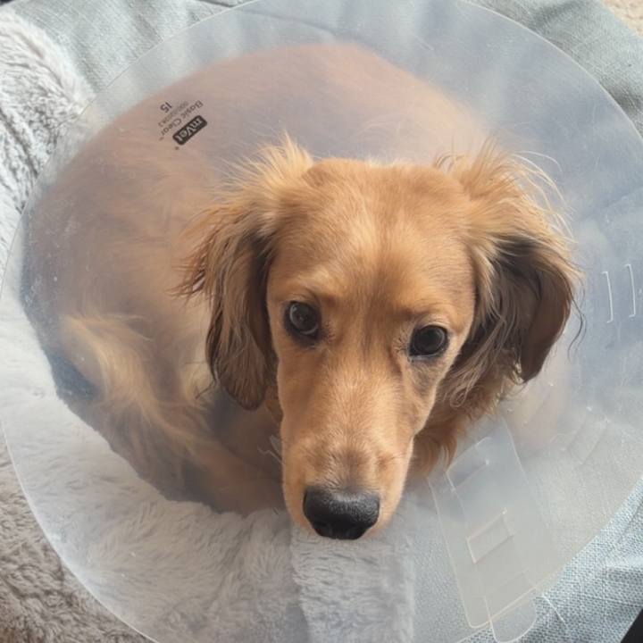 F18297b3 0d21 42d1 a806 6bf95c275883 1771999485221