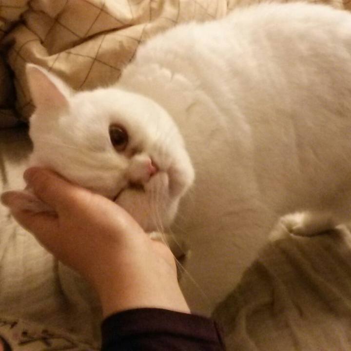 F1829dc8 7dba 47a0 98ea dcf12edadb76 1512123933976