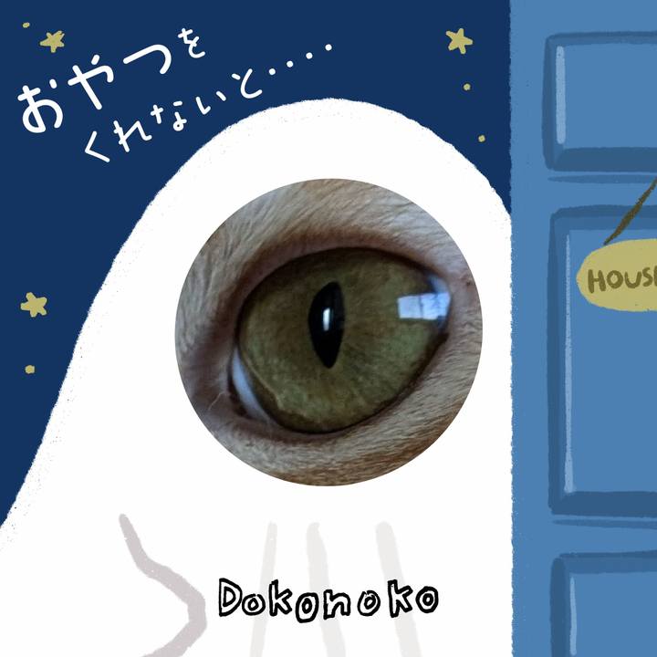 F182b237 c408 4290 8e5a 0a7de7085d1e 1729076965607