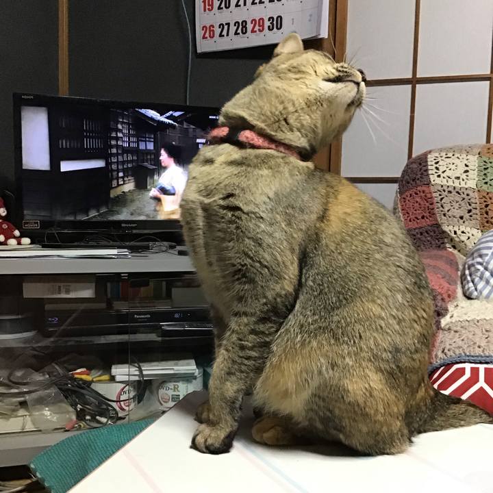 F182e658 bc73 4e98 9a3c 53b9f45a644c 1586599760546