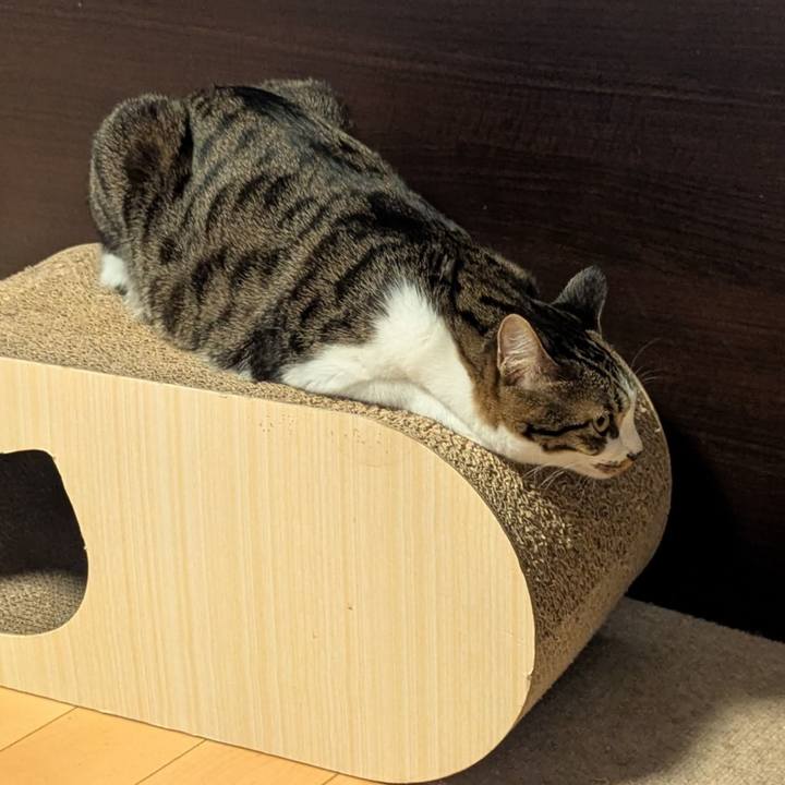 F182f452 2d34 4ba9 a4b7 05ff47bc4372 1765343134650