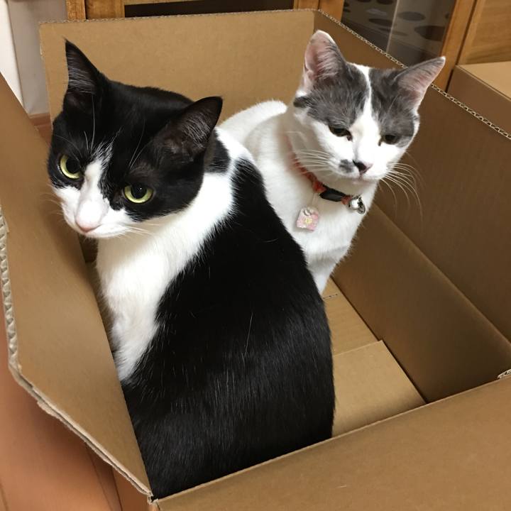 F183411b 63e8 4b63 8b16 4dfff48160d1 1519431990292