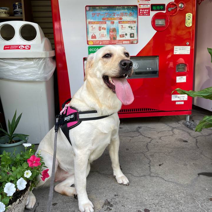 F1835c6d 6949 47cc 8094 2c48426696f0 1657444019716