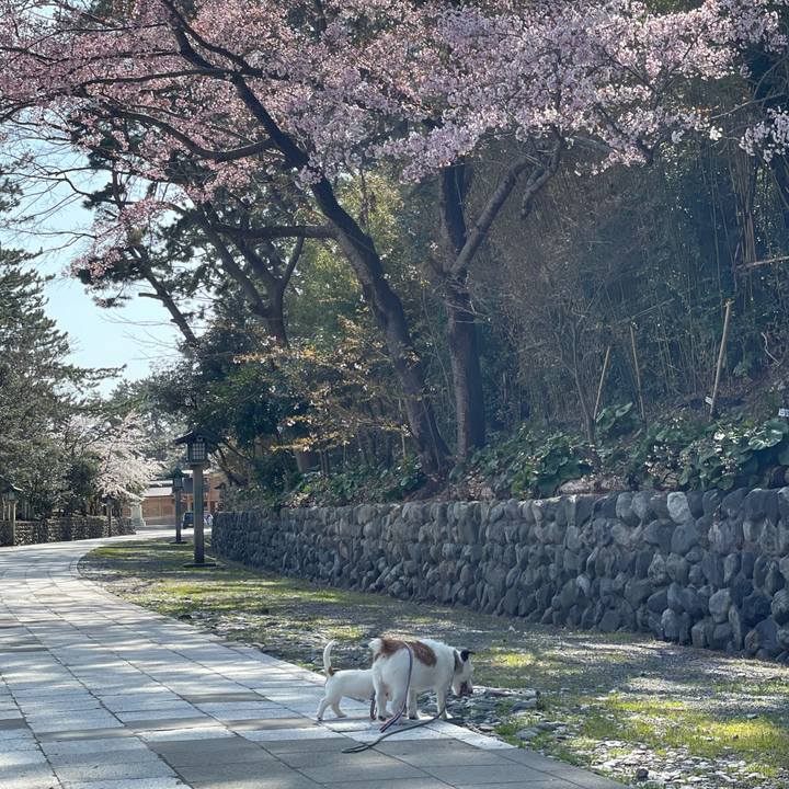 F1836688 0278 4127 b9fc 525b96dd2037 1617343124257