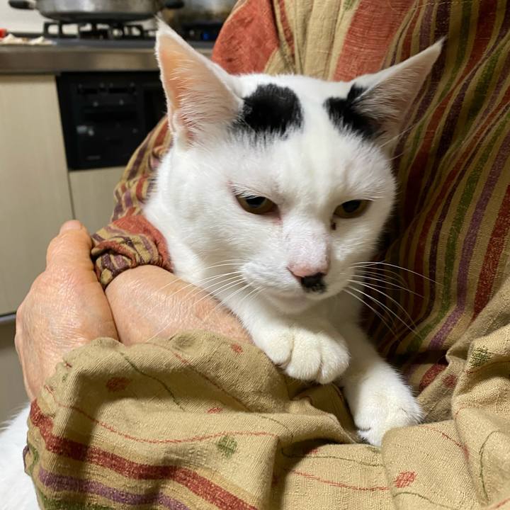 F1836bdb 384c 43e1 be23 4540897e399e 1703764709483