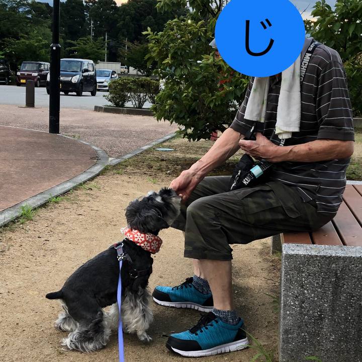 F18373b5 f30e 4b0e b565 586dd388fc92 1689422511914