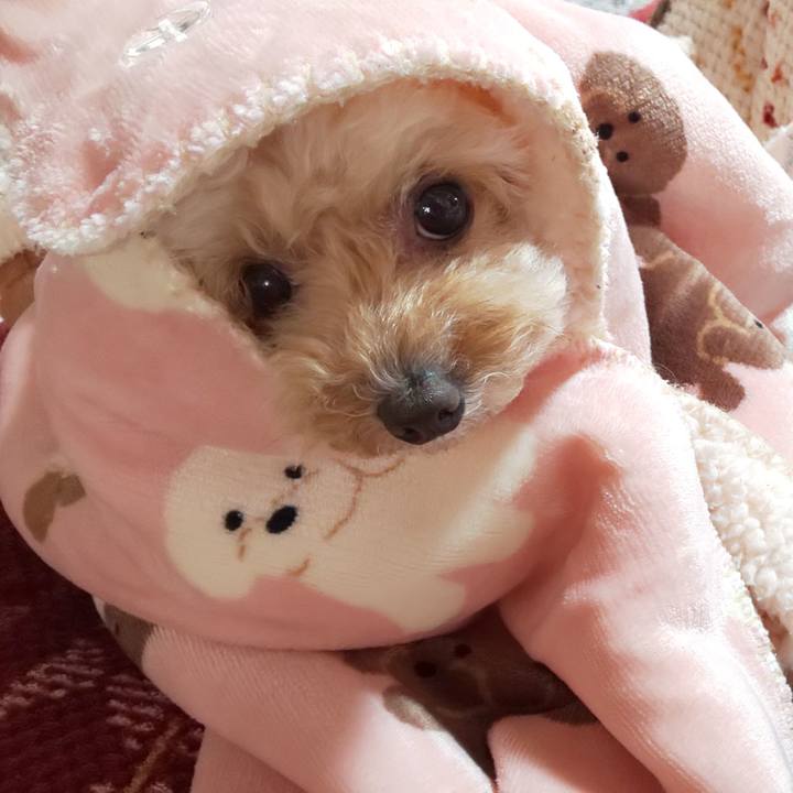 F18373ed 7b24 4ed6 9b45 a07c8c6047e9 1678275851329