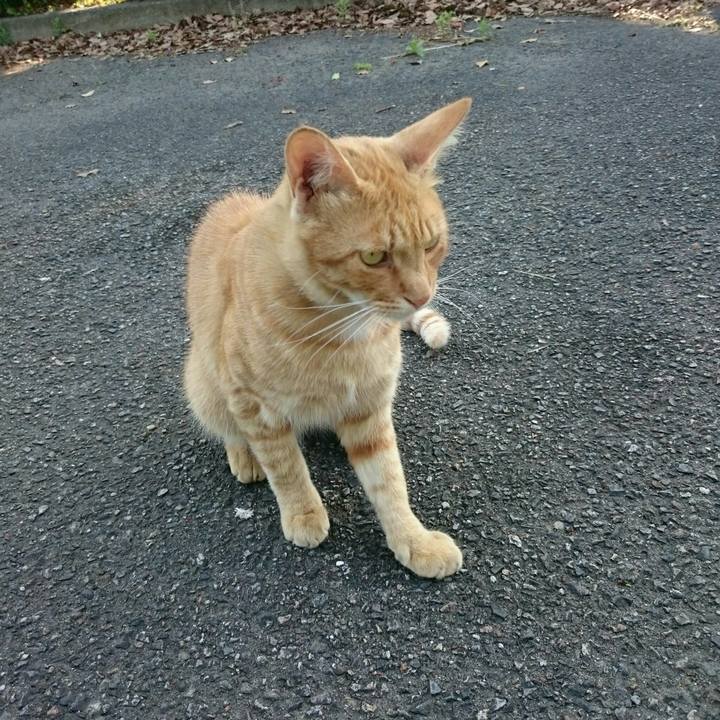 F183c8b5 fdbd 49da af12 0286964d29bc 1536589406733