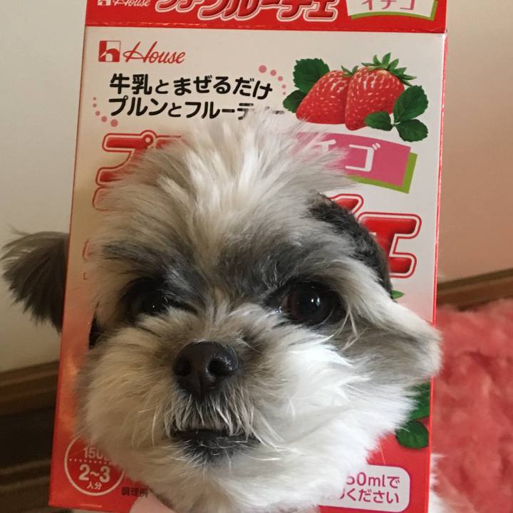 F183e2f8 cfb7 45df a4f4 5f39e82b9bf6 1517099751251