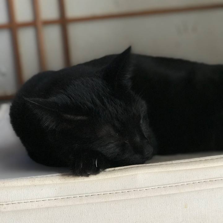 F184015d d9a9 4194 8025 6c197397a916 1536713917113