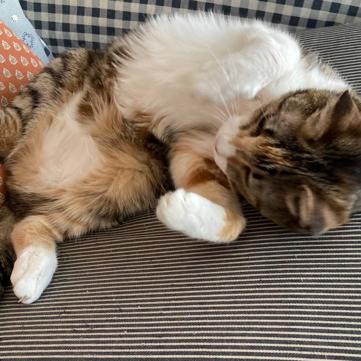 F1843750 fe62 49cd 8f73 12d9a82d0601 1761394658675