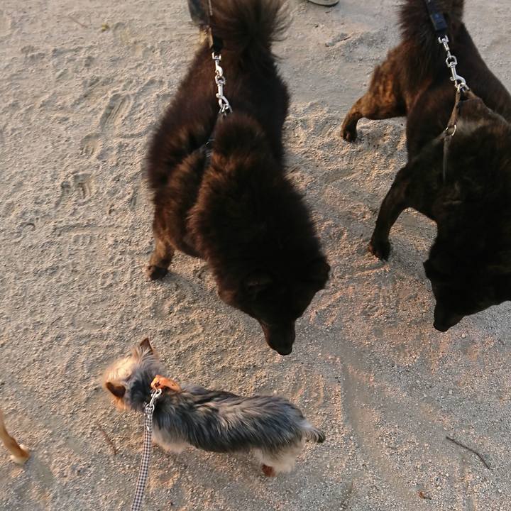 F1848f2e 13c4 40a2 af05 9781f2277492 1524393241008