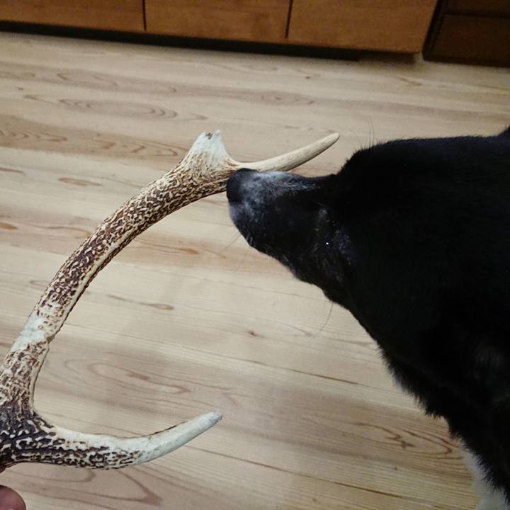 F184c516 9515 4e03 a1eb 34bdfe80dcb5 1612792182539