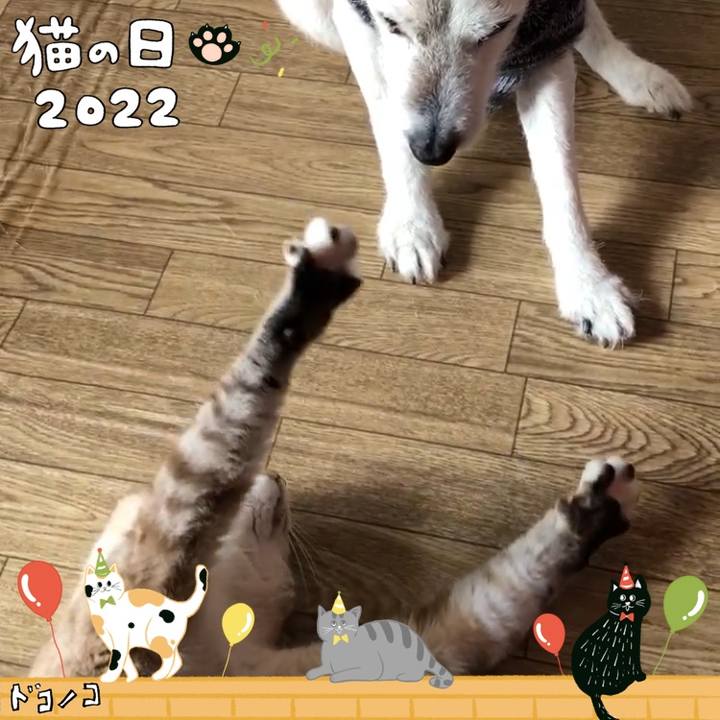 F184eb09 88cc 4e65 9776 bb68b3aa5fdd 1645530653922